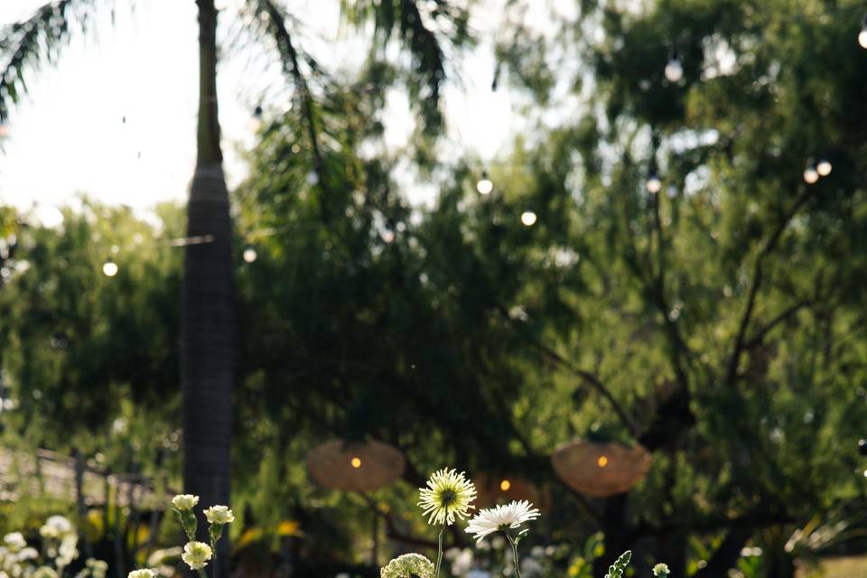 Casamento ao ar livre