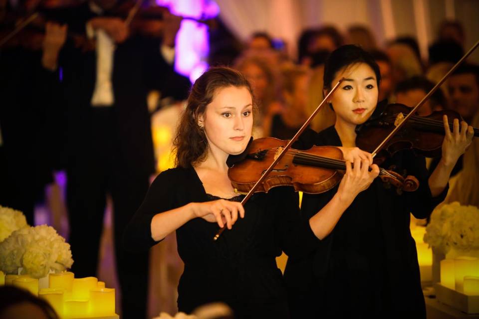 Walking Violin