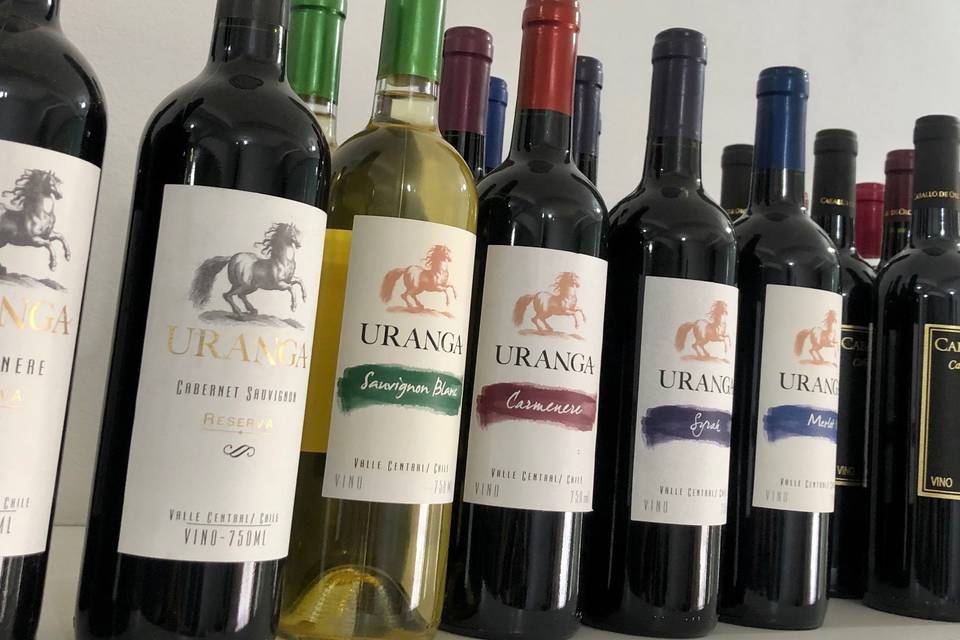 Vinhos Nacionais e Importados