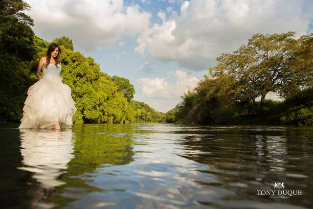 Trash The Dress