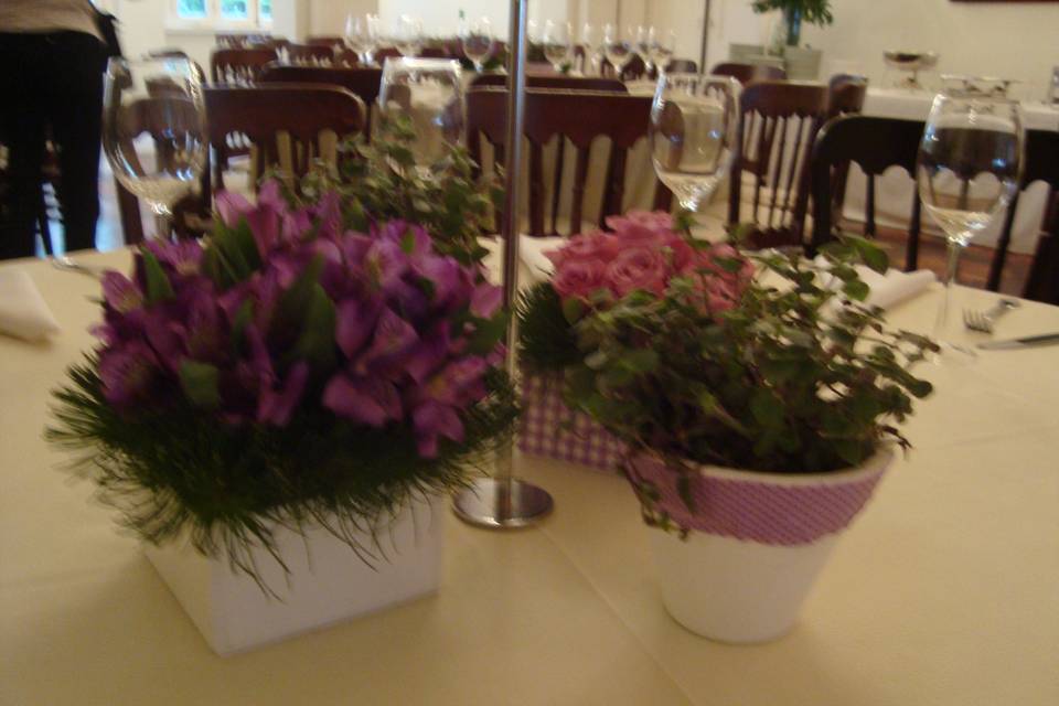 Flor da Estação Eventos e Decorações