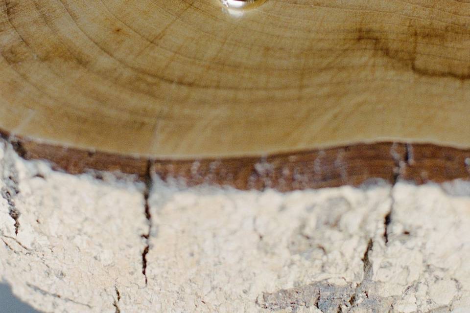 Detalhe das alianças