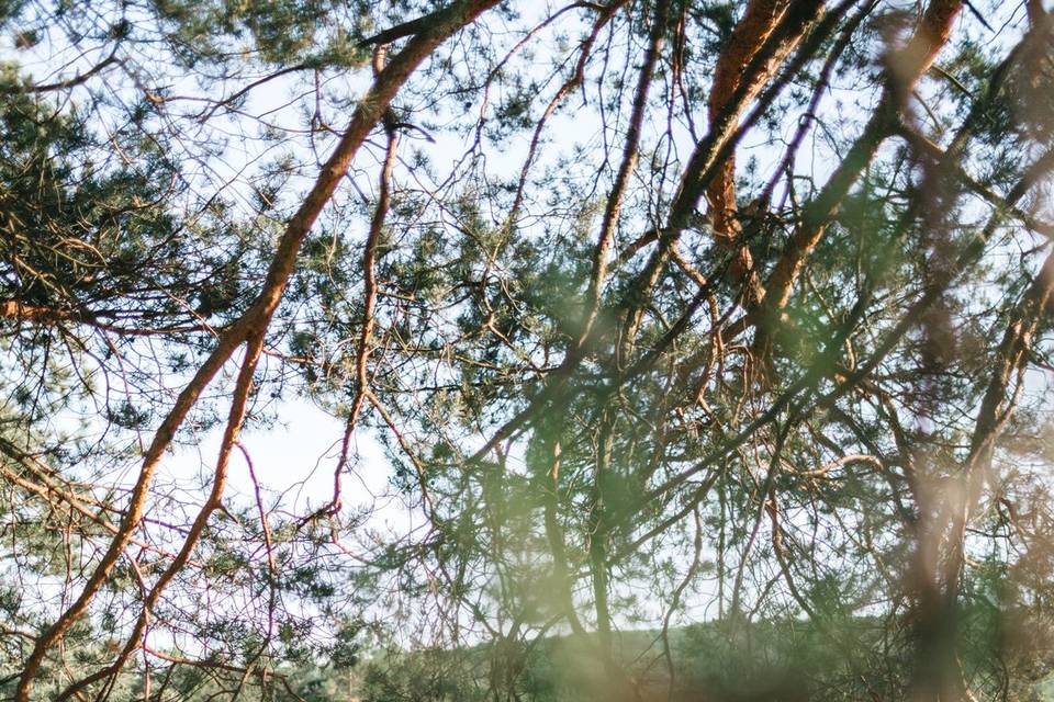 Detalhes