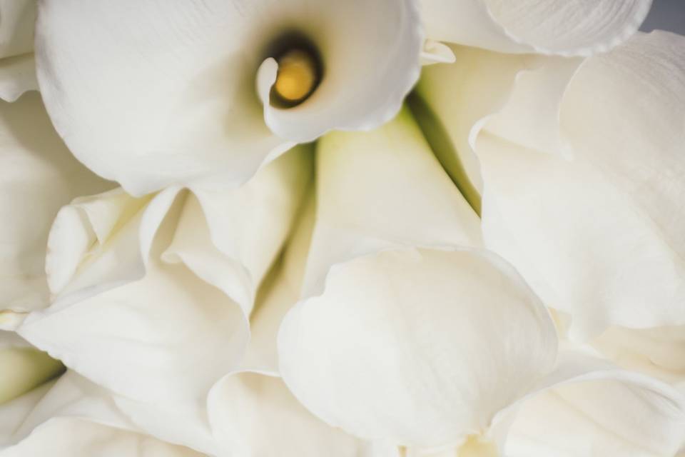 Cerimônia Religiosa