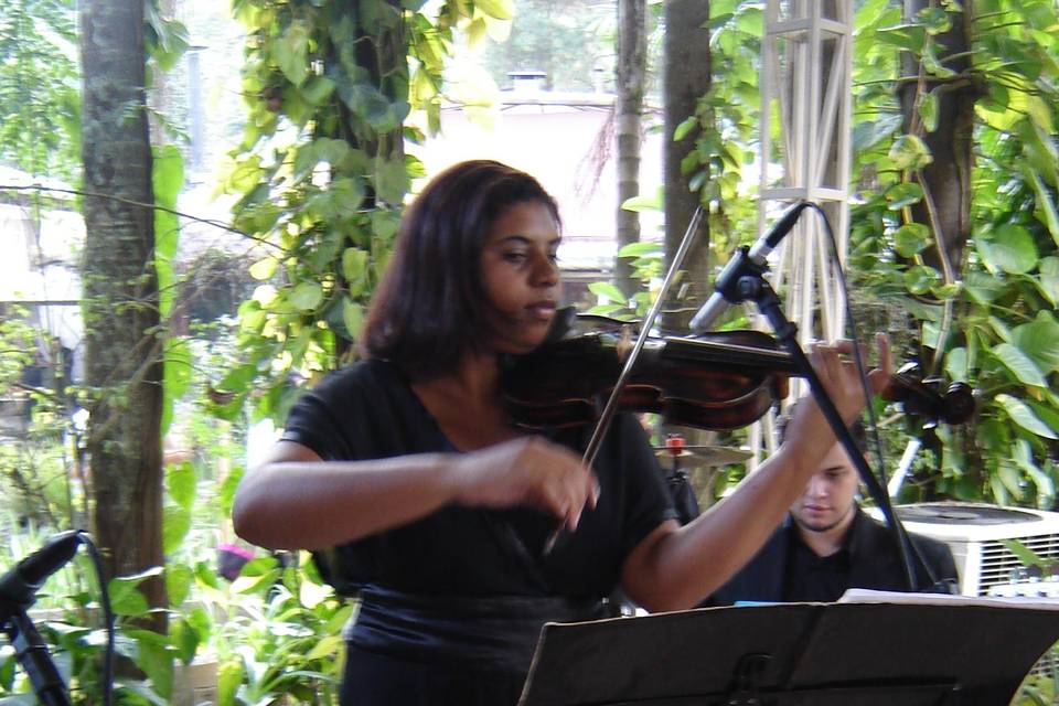 Violinos