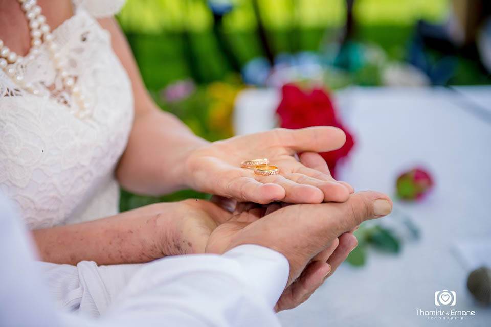 Bodas de Ouro Marisa e Wander