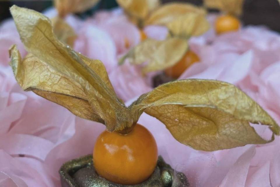 Caixinha Physalis