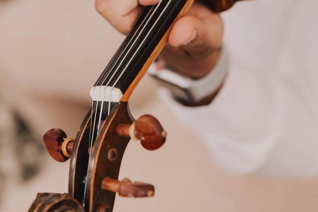 Violinista