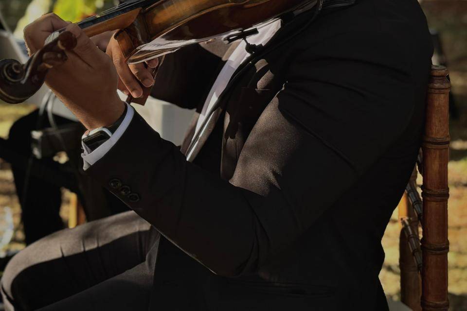Foto de casamento