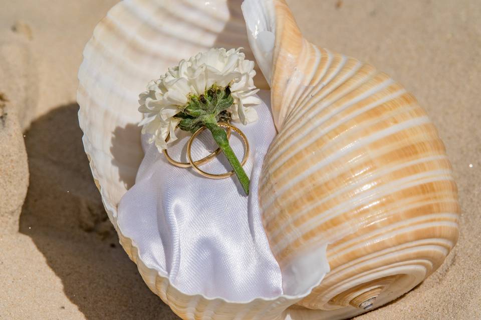 Detalhe alianças