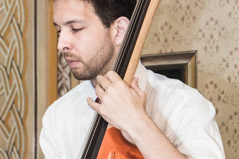 Upright Bass