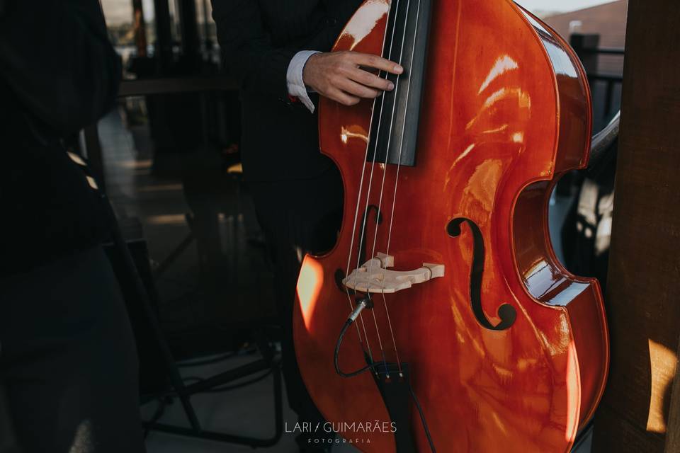Contrabaixo Acústico