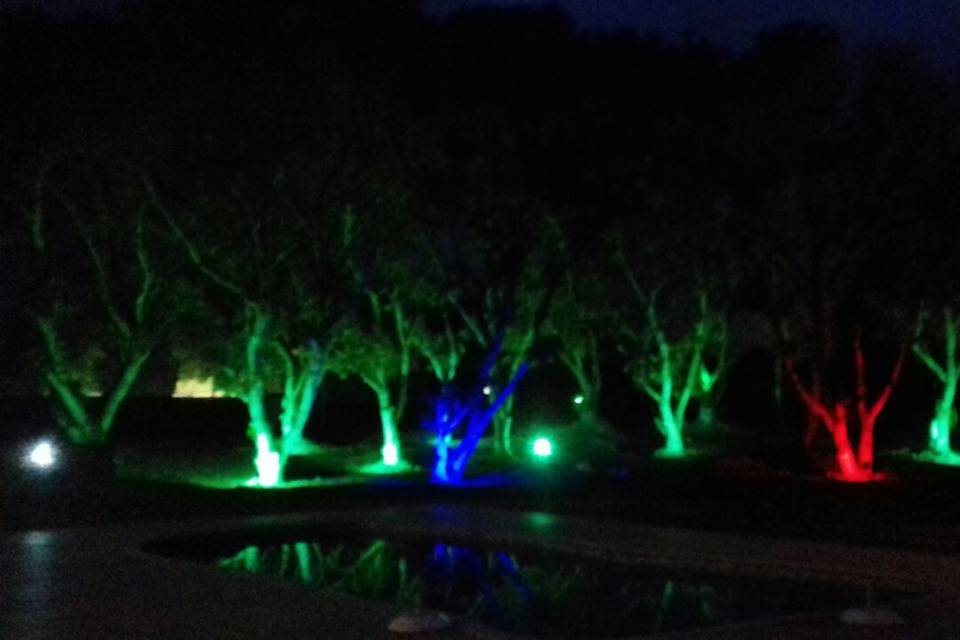 Iluminação noturna das árvores