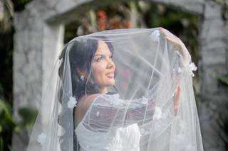 Focus Foto Filme