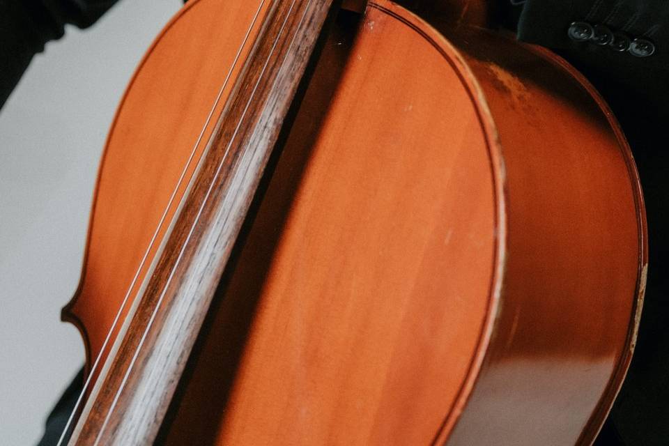 Violoncelo