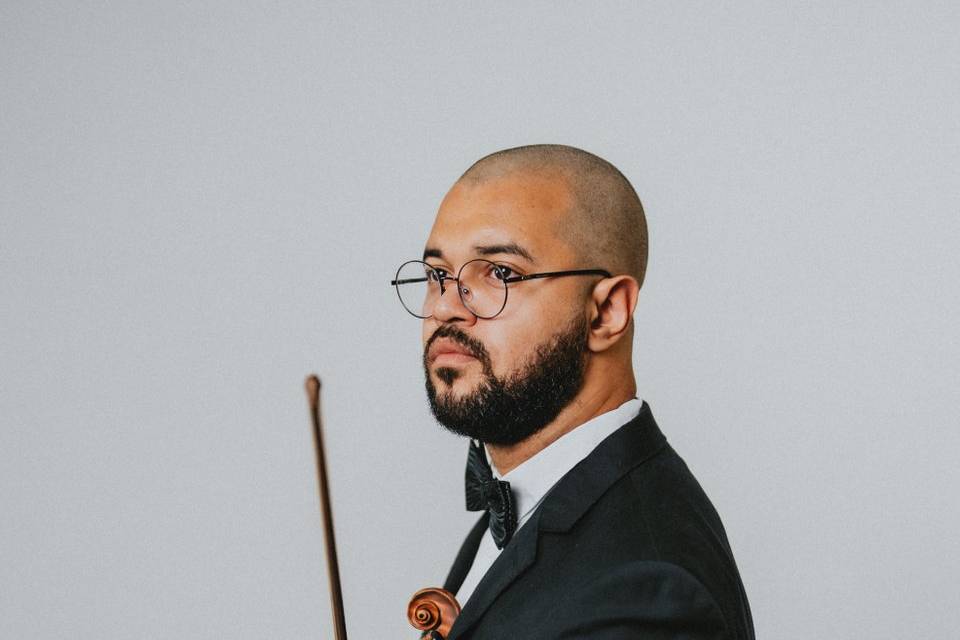 Violino