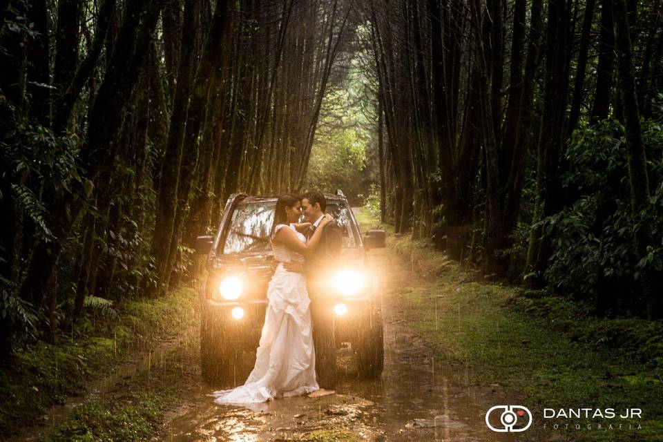 Trash the Dress