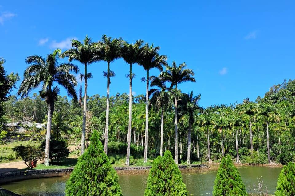 Jardim