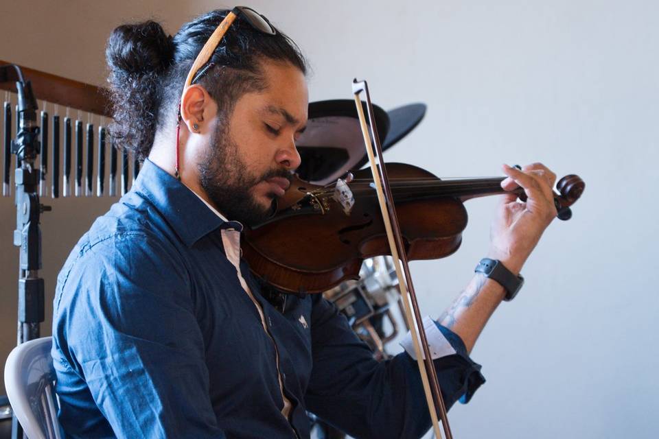 Violino