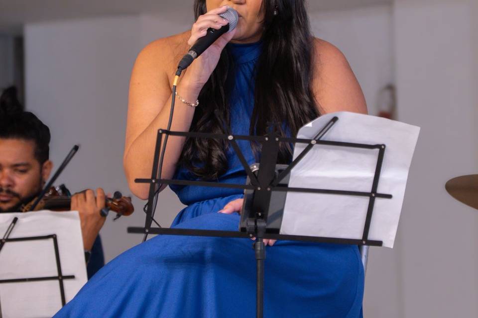 Violino e Voz