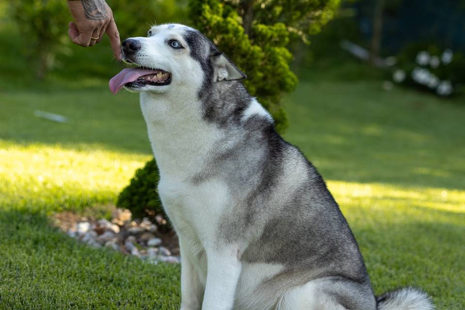 Casa Comigo - Chácara da Flor