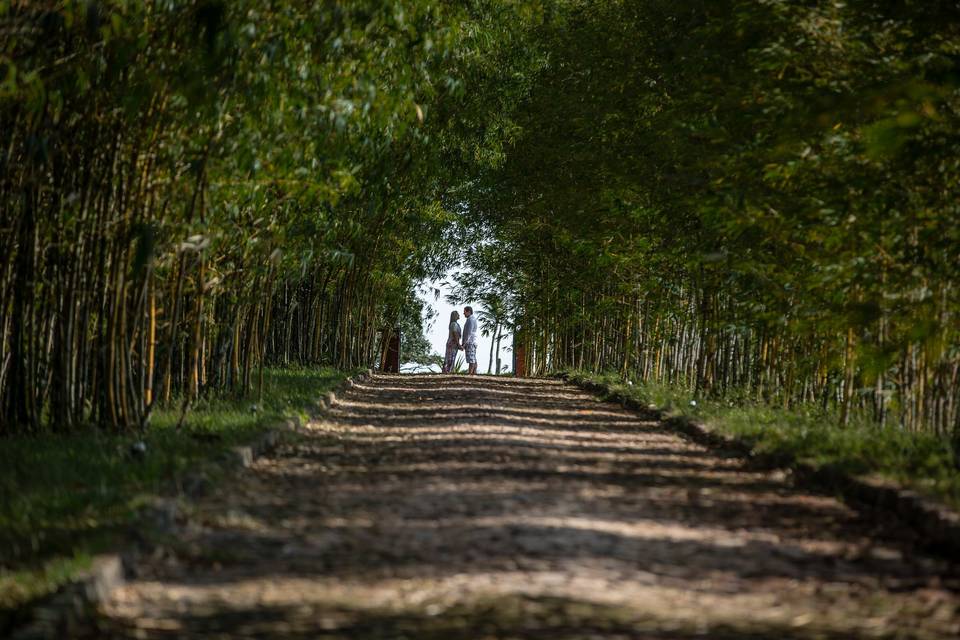 Celso Lobo - Fotografia