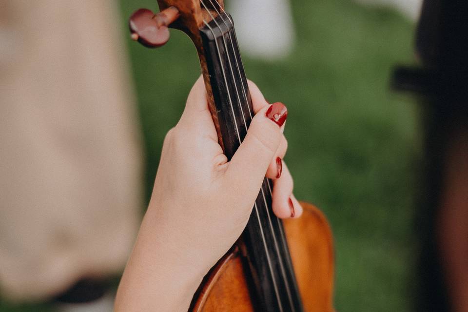 Violin