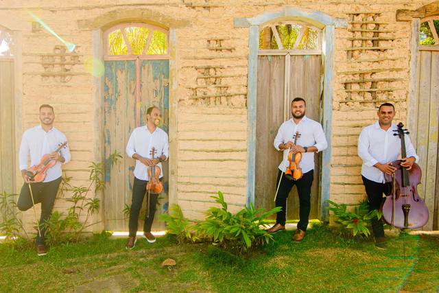 Violinos e violoncelos