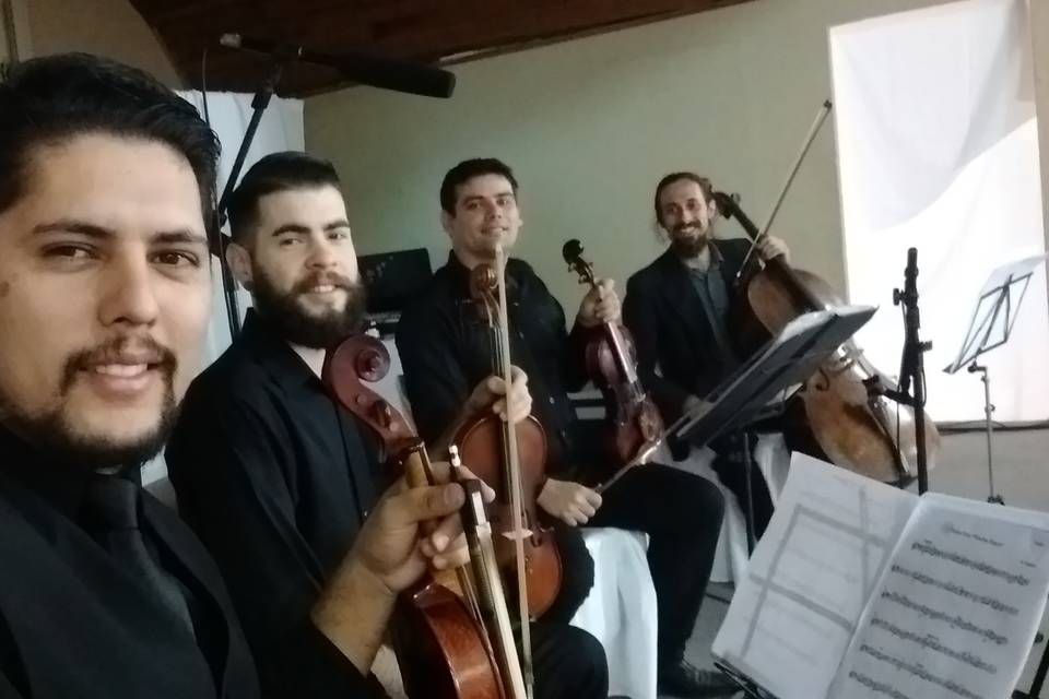 Quarteto de cordas