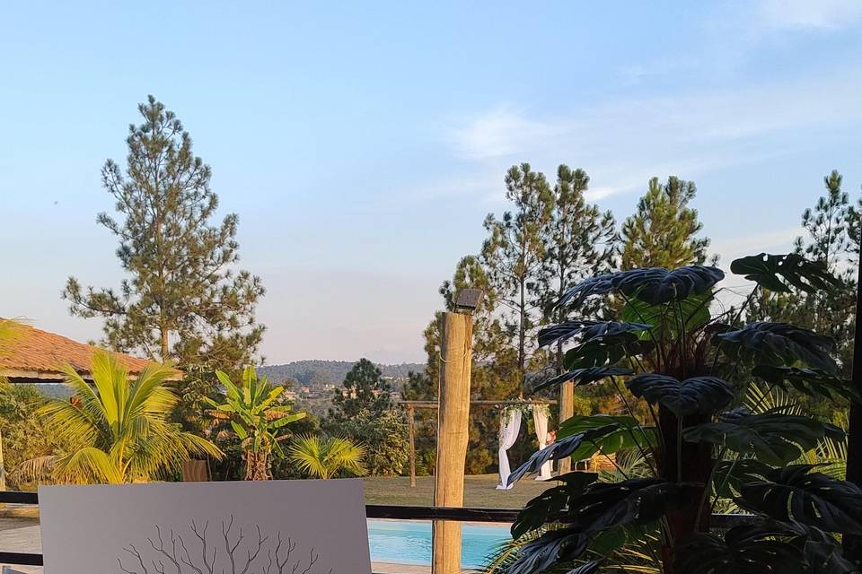 Árvore digital / banner