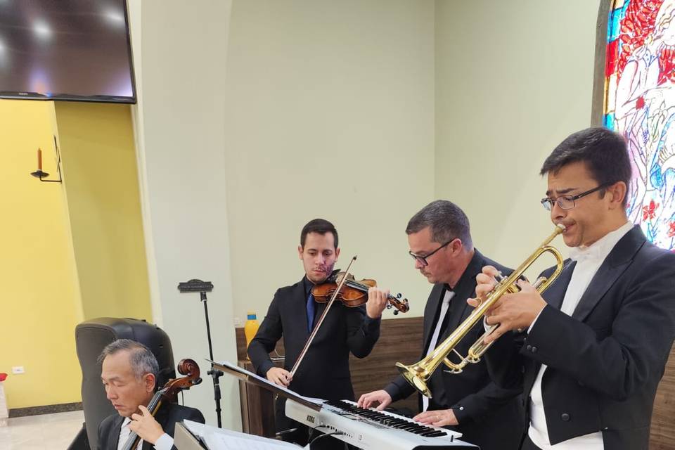 Cello,violino,teclado,clarim