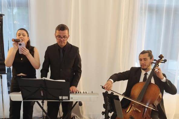 Vocal,teclado,cello