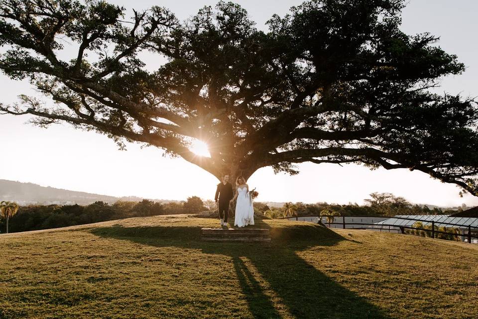 Ensaio pré casamento