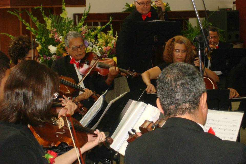 Orquestra com violinos