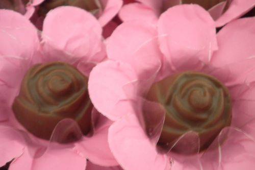 Bombons maciço rosa