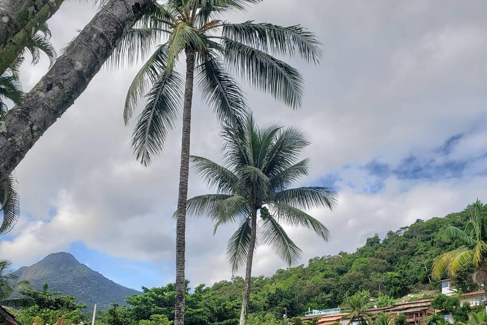 Casa Ilhabela - Treu