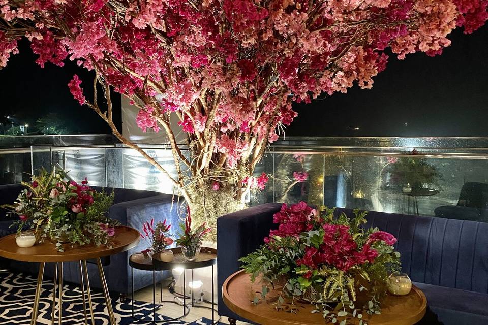 Tatiana Vieira Decoradora