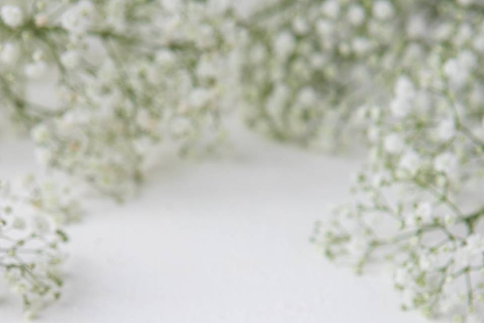 Trufa Belga de Limão