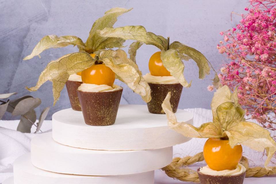 Copinho Physalis