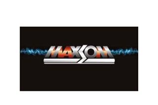 maxsom logo