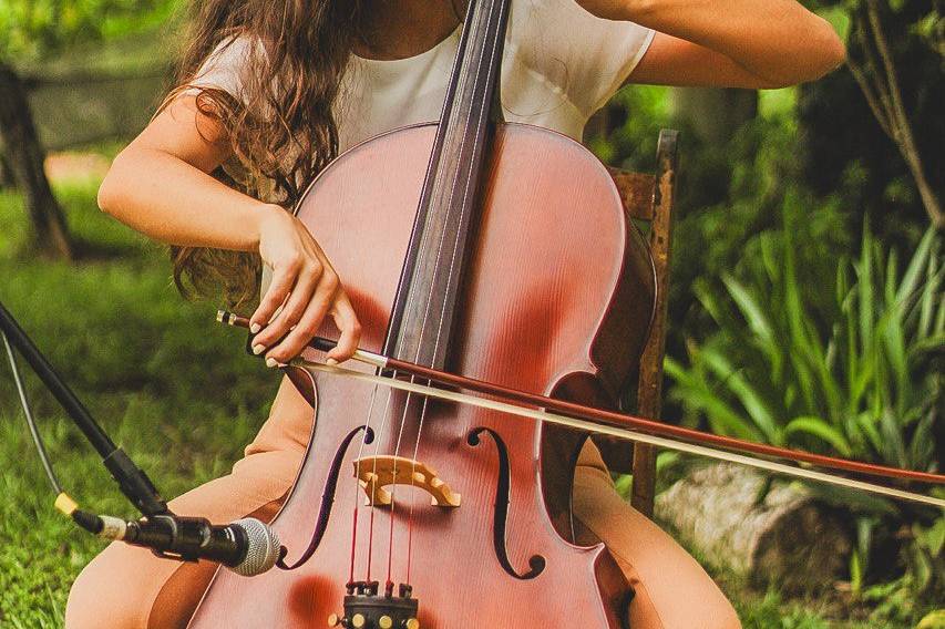 Violoncelo (musica de casament