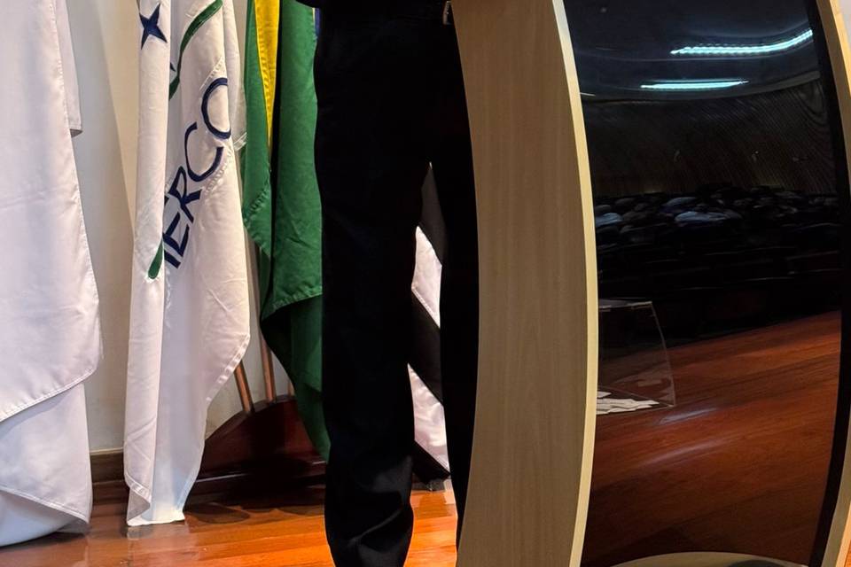 Mestre de Cerimônia