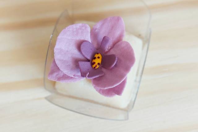Orquidea