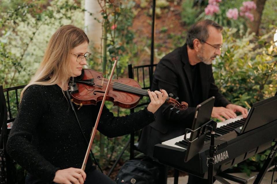 Equipe Partita Musical - Violi