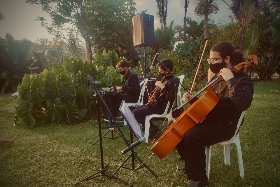 Melodia&Amor