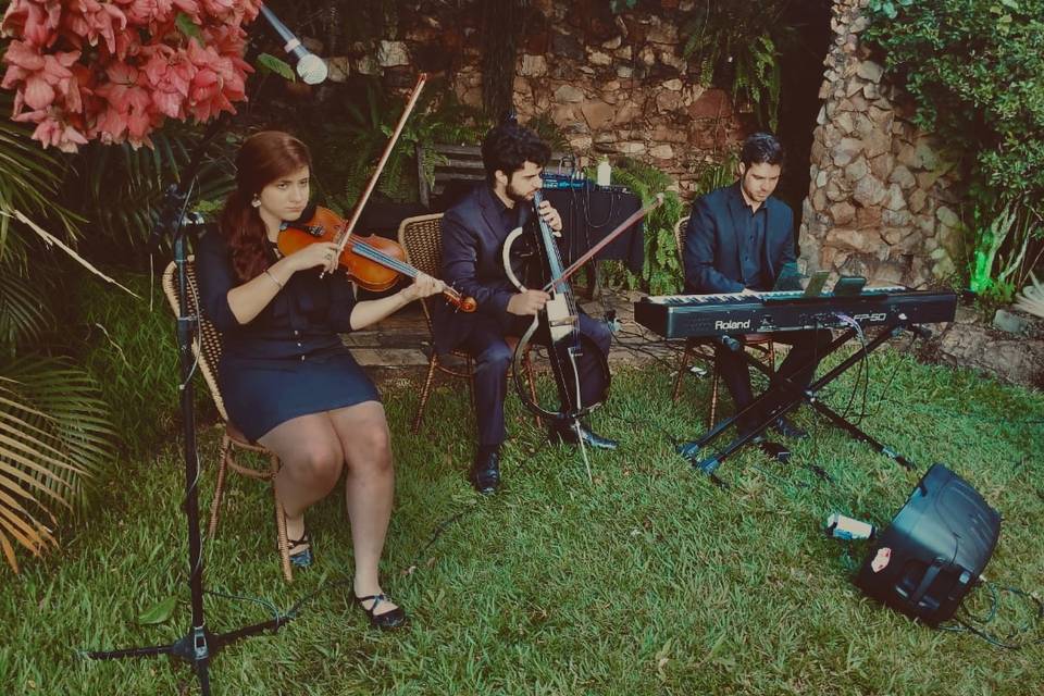 Melodia&Amor