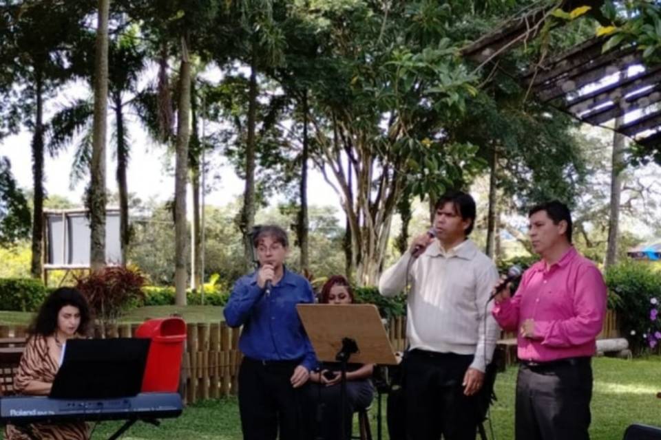 Música ao vivo