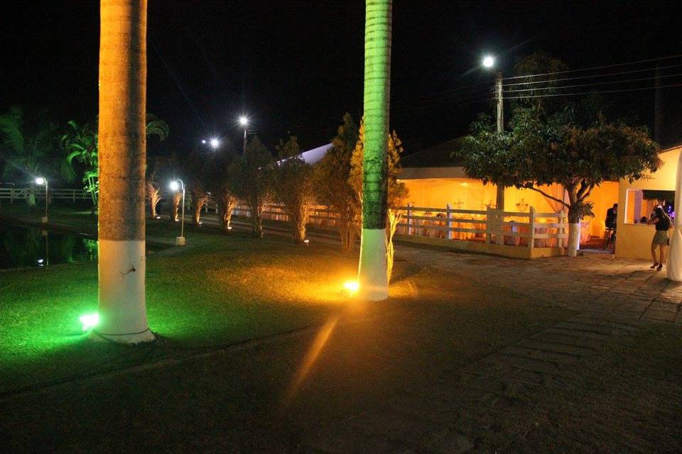 Iluminação palmeiras