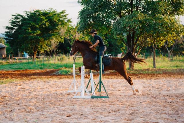 Apresentação de hipismo