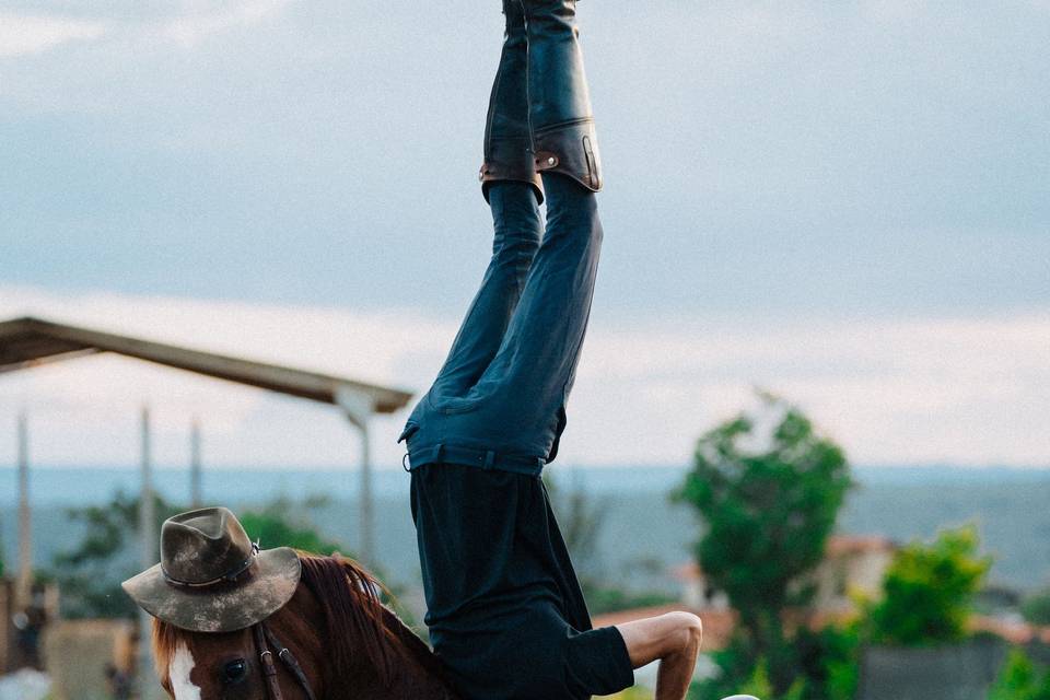 Apresentação equestre